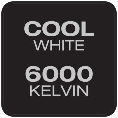 6000K & Cool White