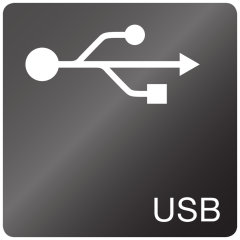 Porta de carregamento 2.1A USB