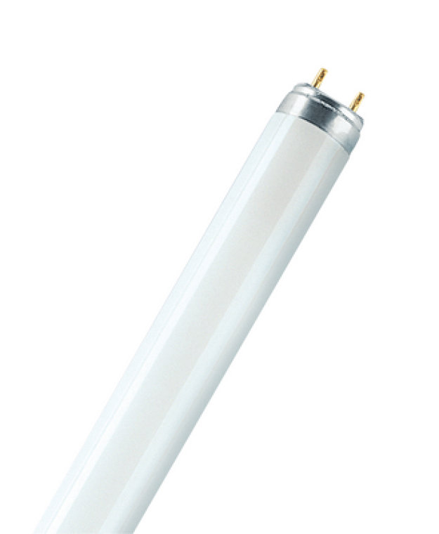 640 8w Osram L 8w/640 Cool White Recyclable Italy CE L8w/640 8 w 640 Tube T5 